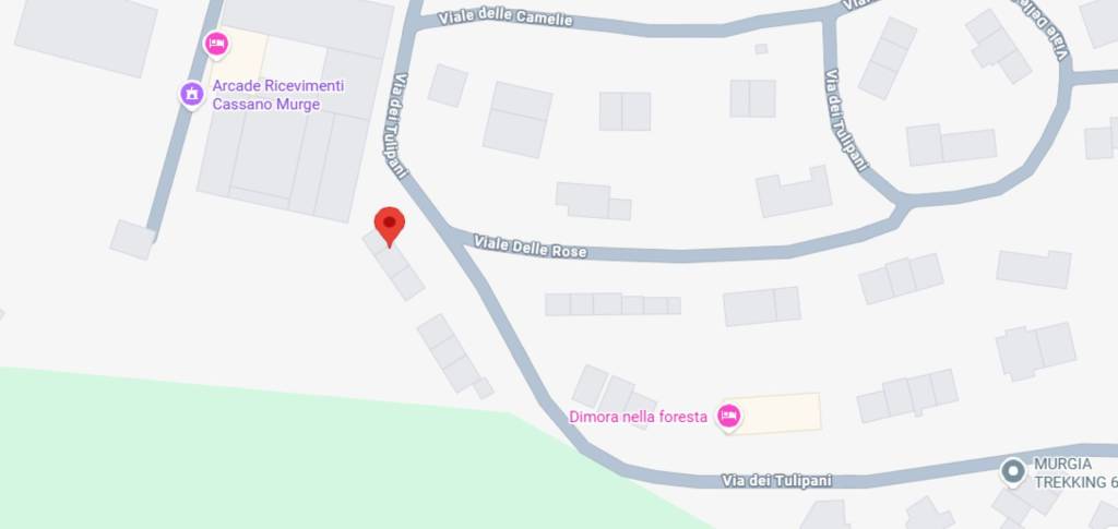 immagine annuncio 10 di 12