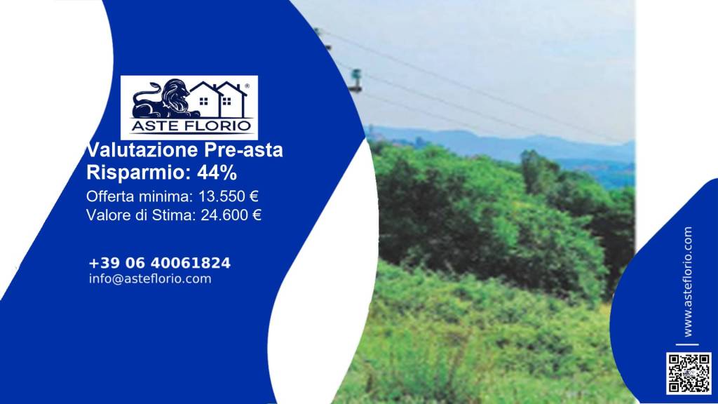 immagine annuncio 1 di 12