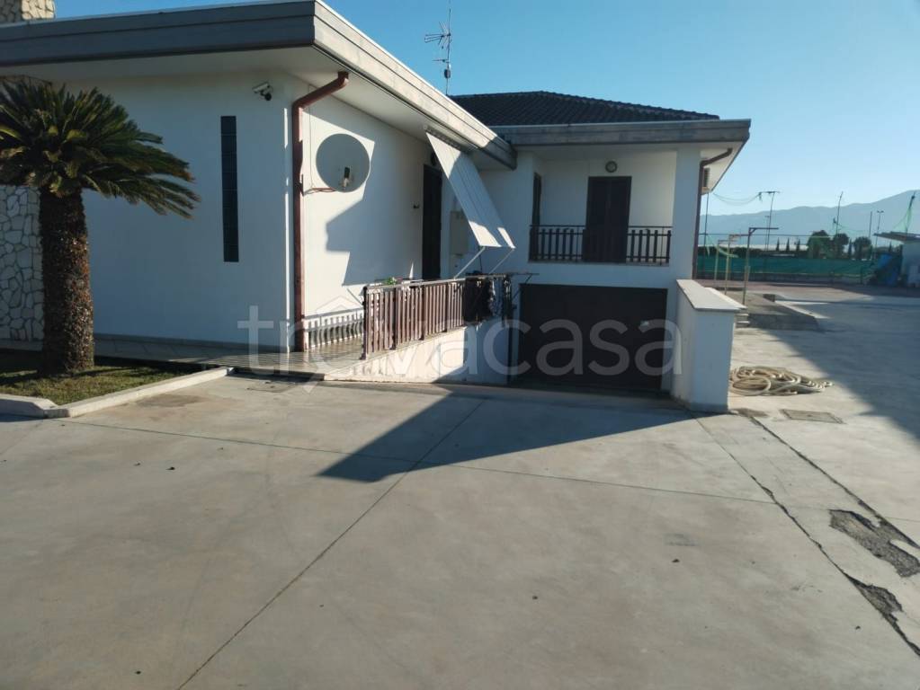 immagine annuncio 7 di 12