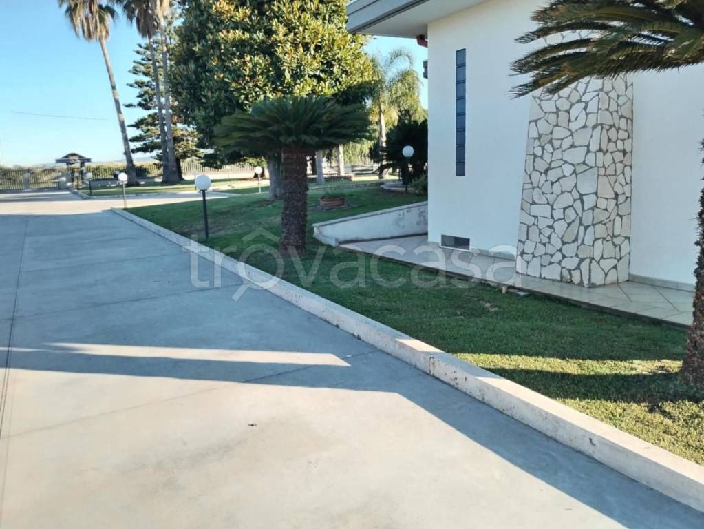 immagine annuncio 5 di 12