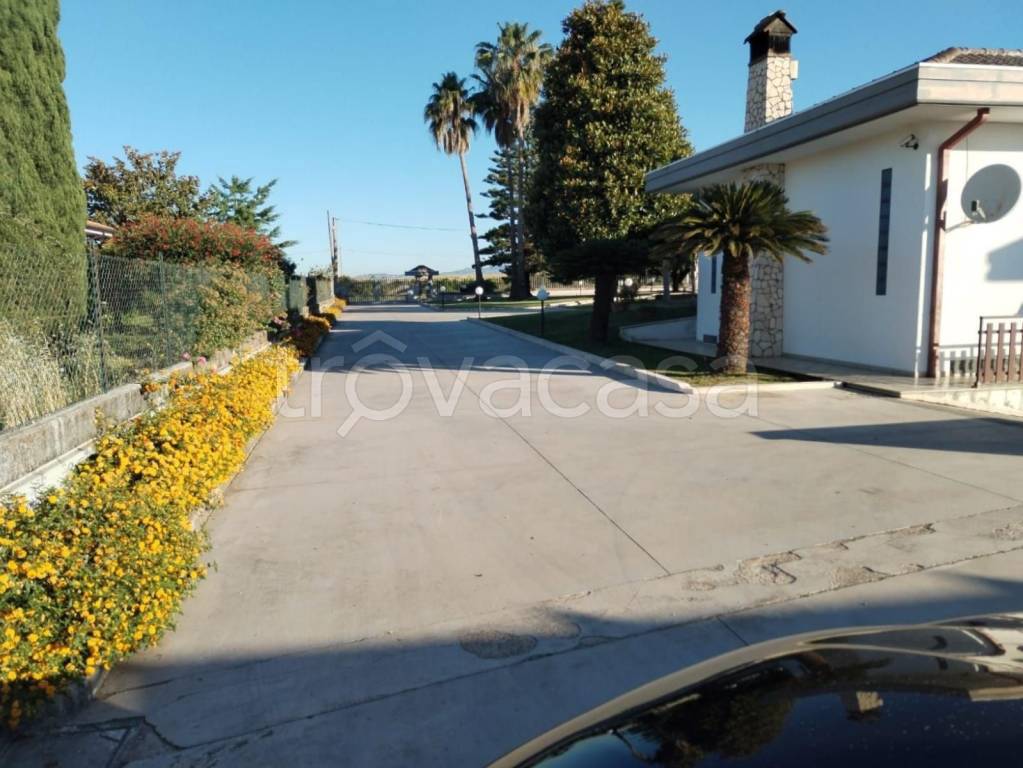 immagine annuncio 6 di 12