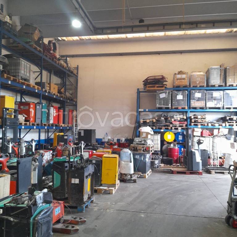 immagine annuncio 1 di 14