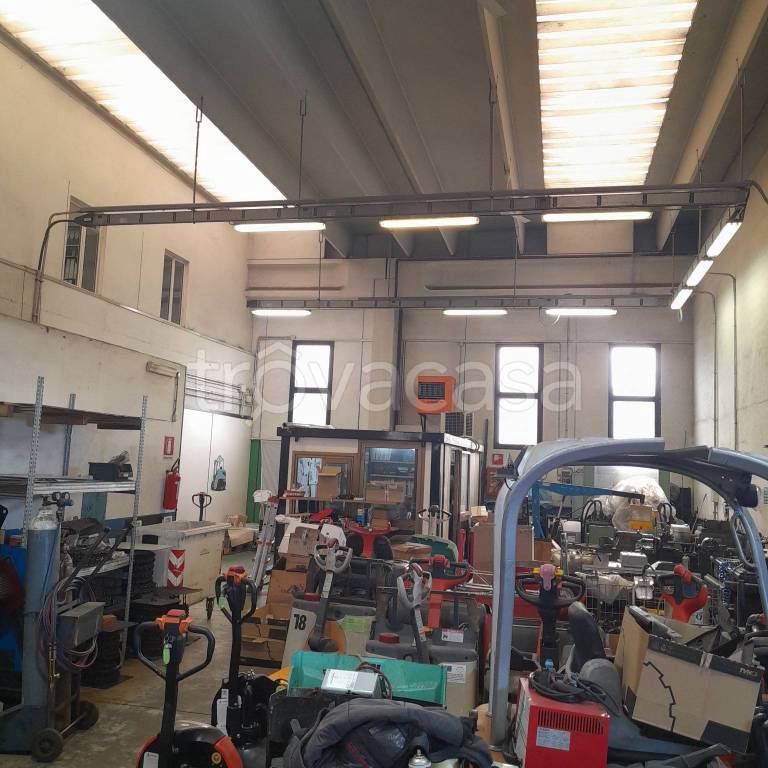 immagine annuncio 2 di 14