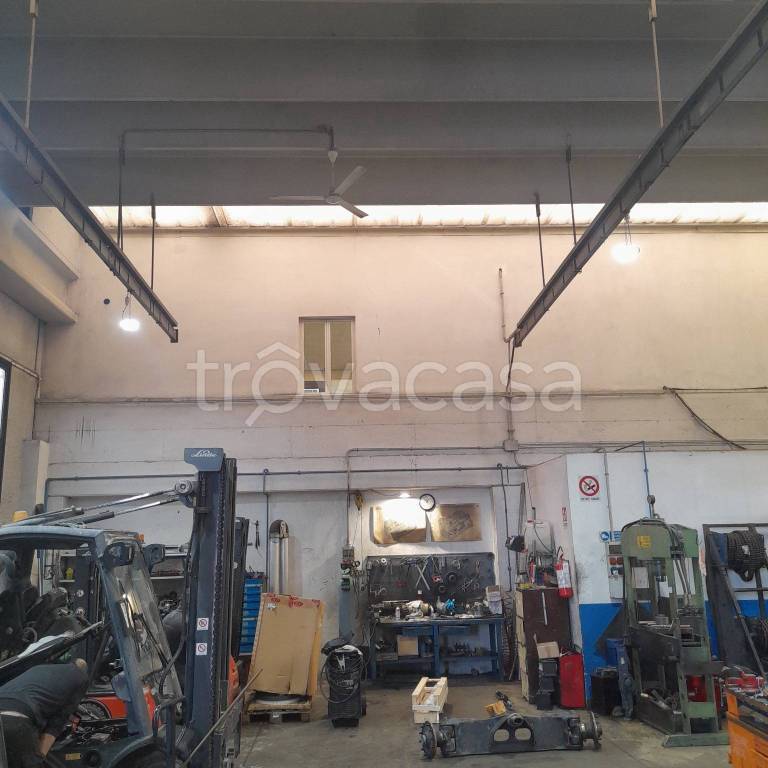 immagine annuncio 3 di 14