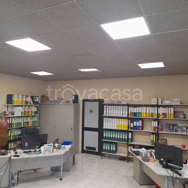 immagine annuncio 9 di 14