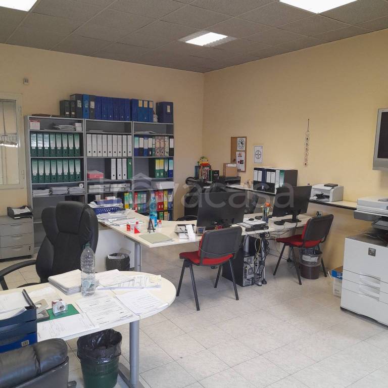 immagine annuncio 10 di 14