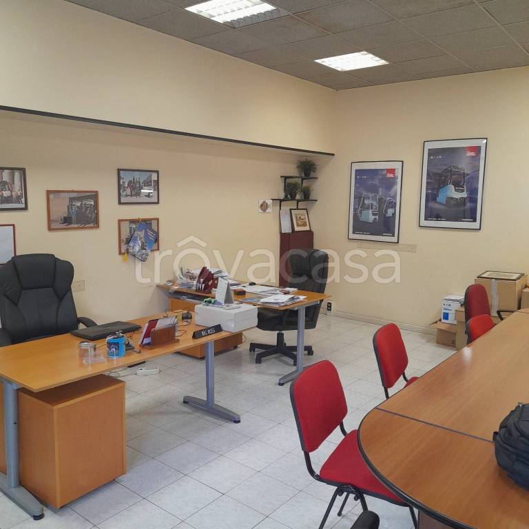 immagine annuncio 11 di 14