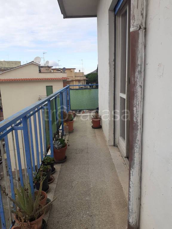 immagine annuncio 10 di 14