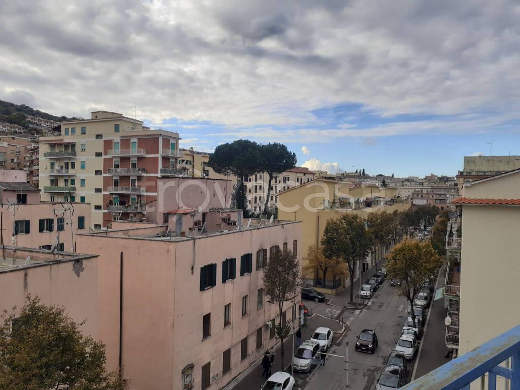 immagine annuncio 11 di 14