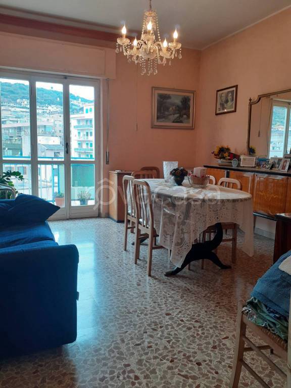 immagine annuncio 12 di 14