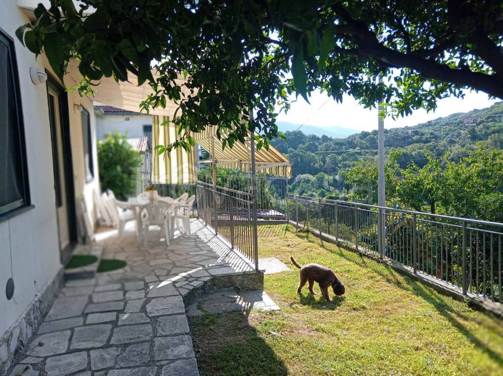 immagine annuncio 1 di 9