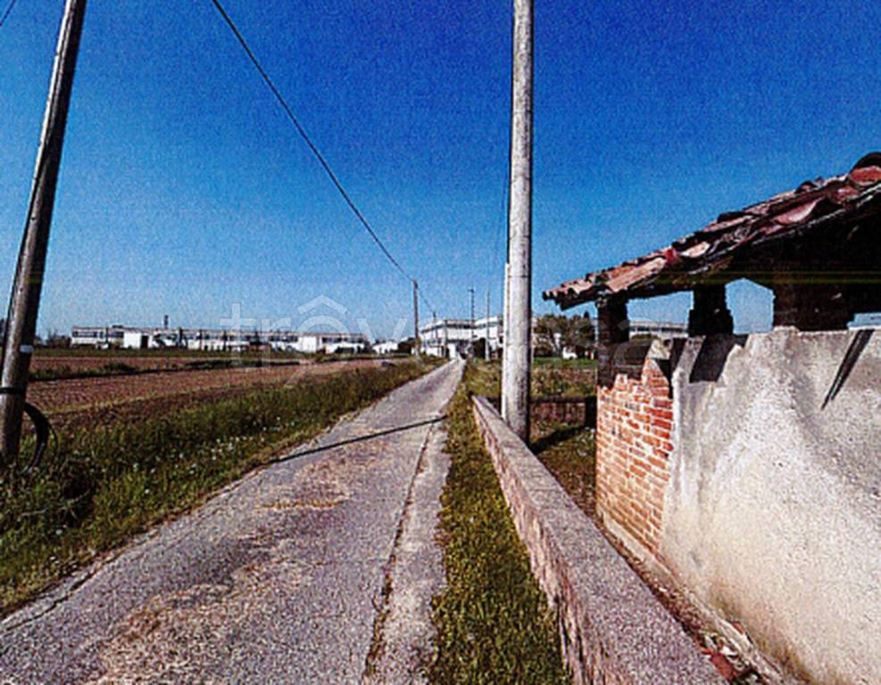 immagine annuncio 6 di 12