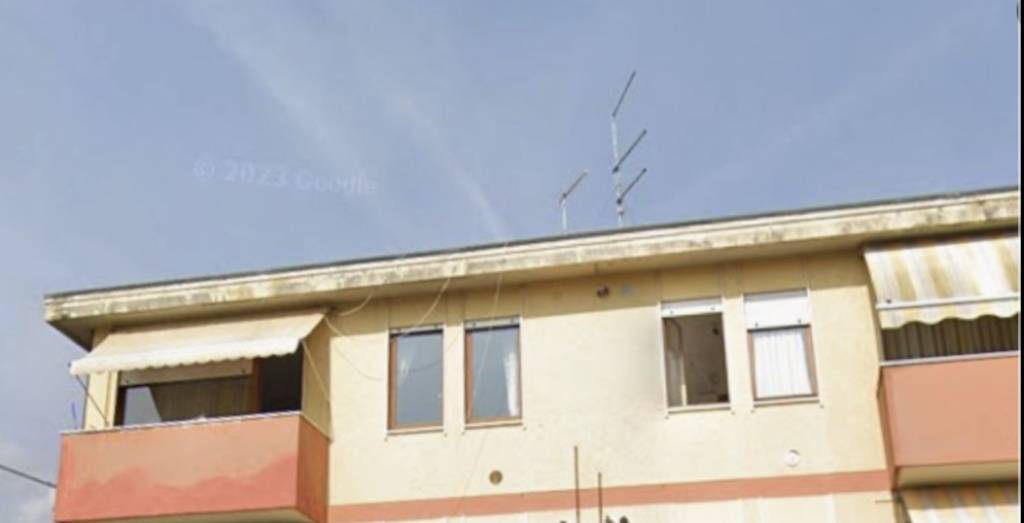 immagine annuncio 3 di 11