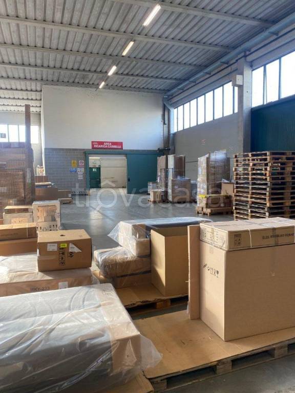 immagine annuncio 4 di 12