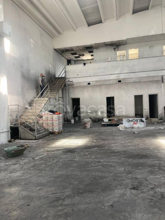 immagine annuncio 5 di 15