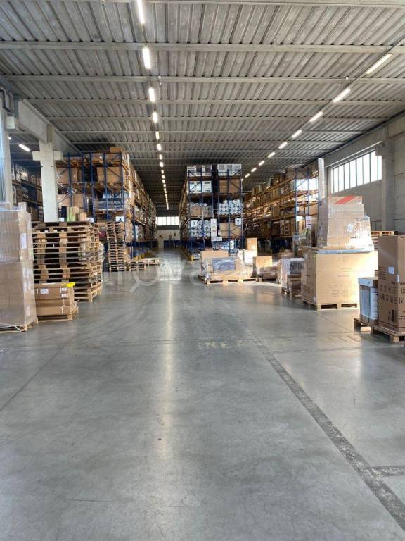 immagine annuncio 3 di 12