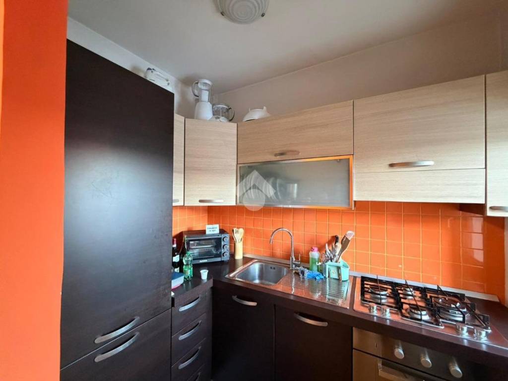 immagine annuncio 3 di 14