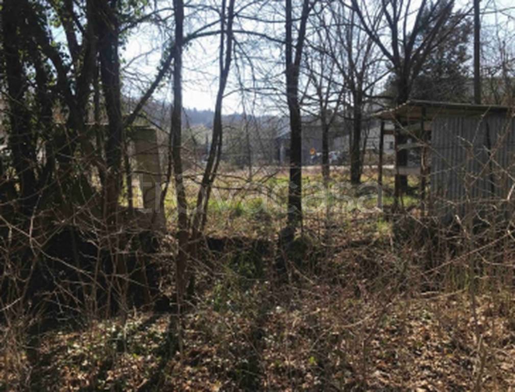 immagine annuncio 2 di 11