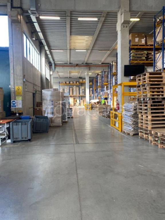 immagine annuncio 1 di 12