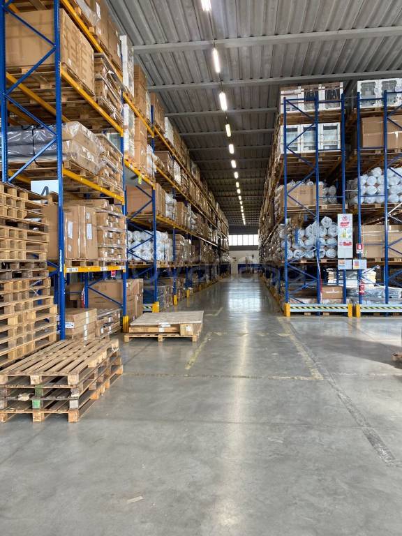 immagine annuncio 2 di 12