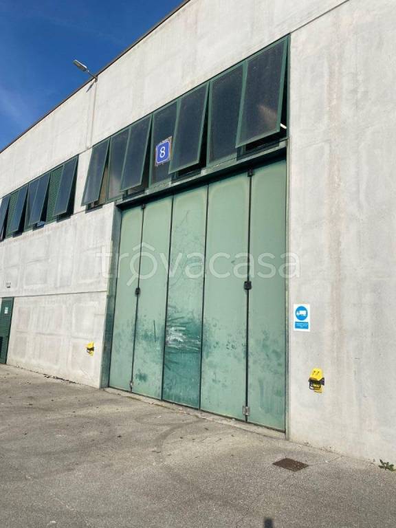 immagine annuncio 7 di 12