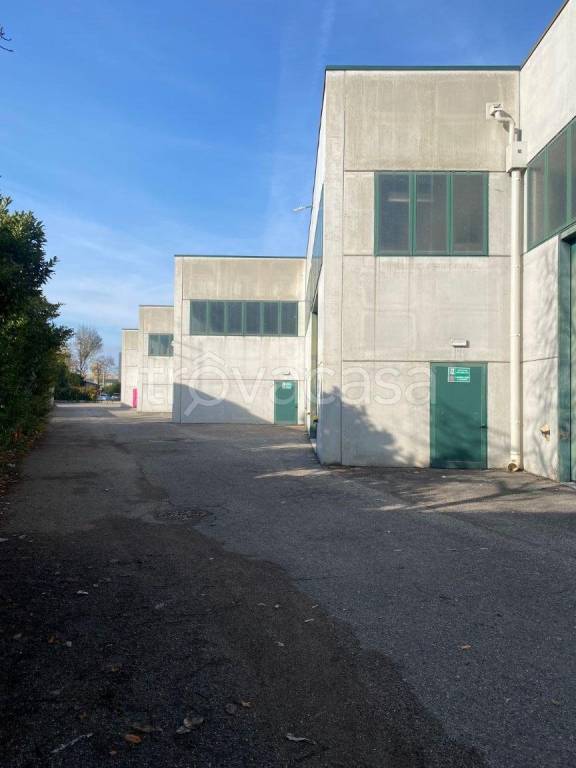 immagine annuncio 8 di 12