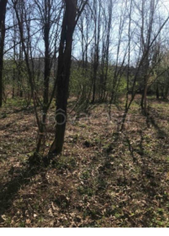 immagine annuncio 6 di 11