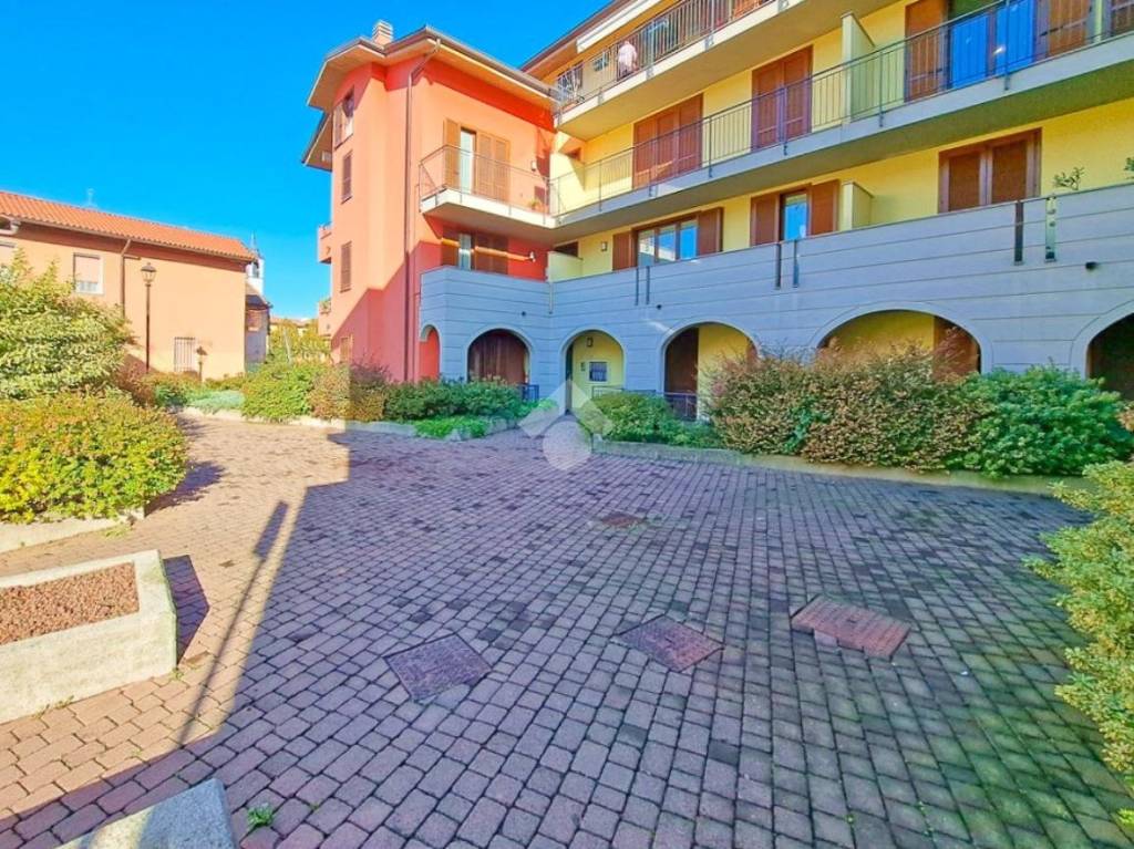 immagine annuncio 3 di 15