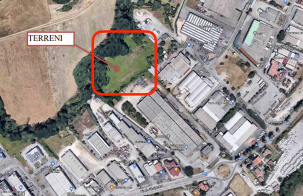 immagine annuncio 10 di 11