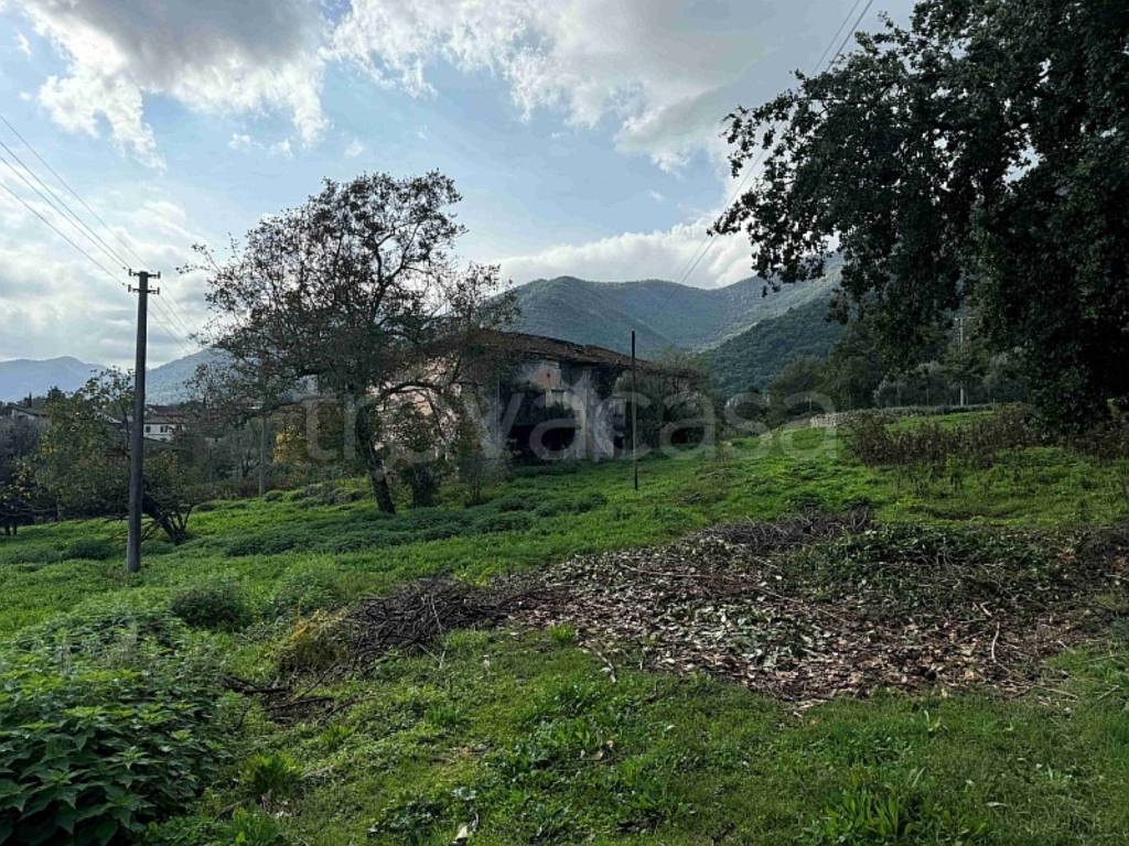 immagine annuncio 4 di 13