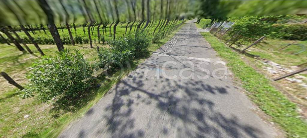 immagine annuncio 7 di 13