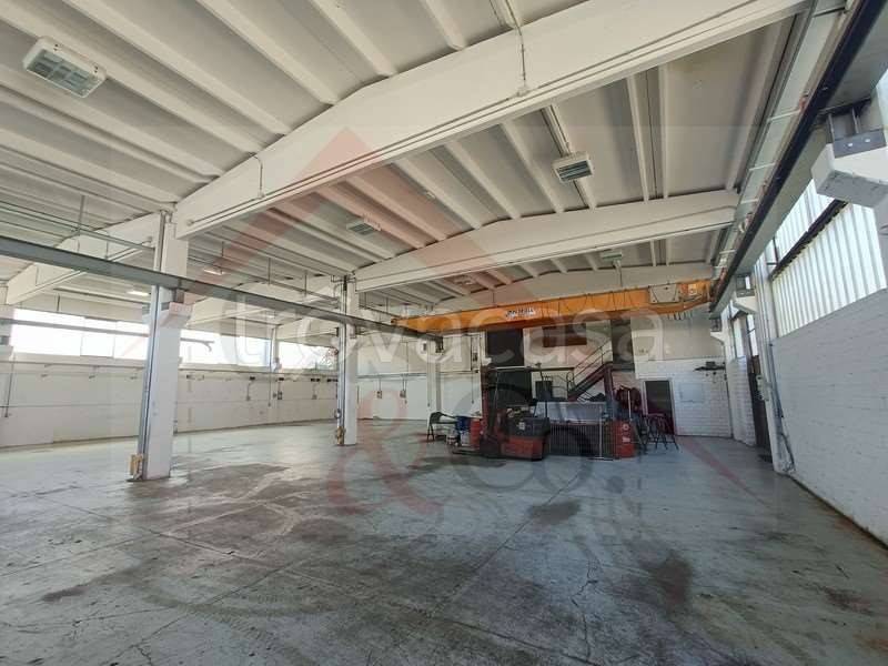 immagine annuncio 5 di 13