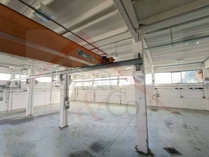 immagine annuncio 8 di 13