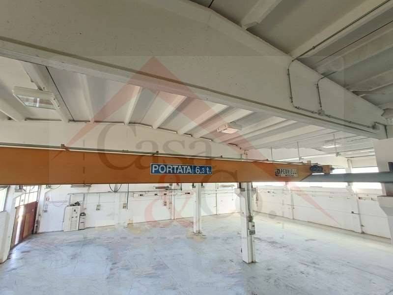 immagine annuncio 10 di 13