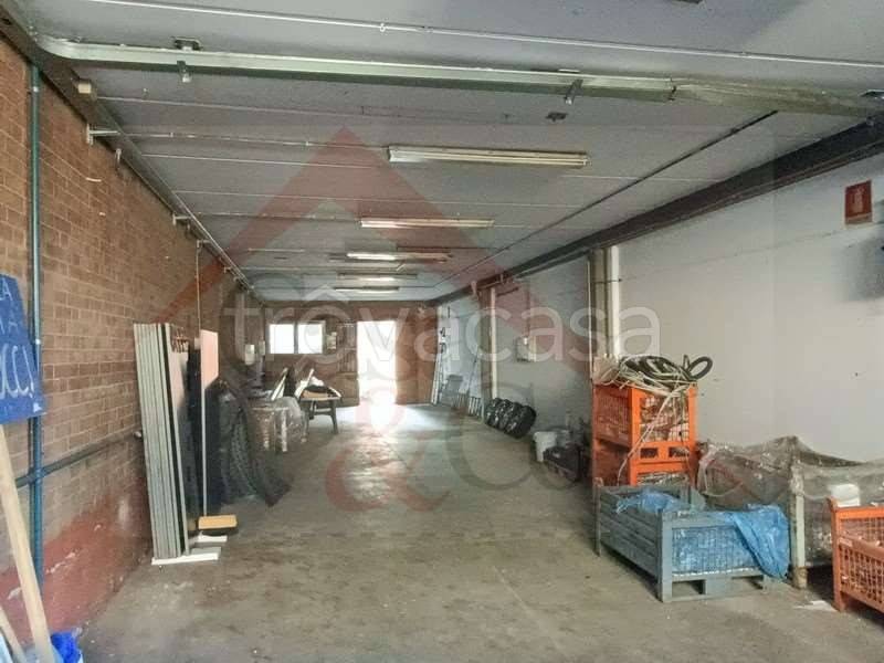 immagine annuncio 12 di 13