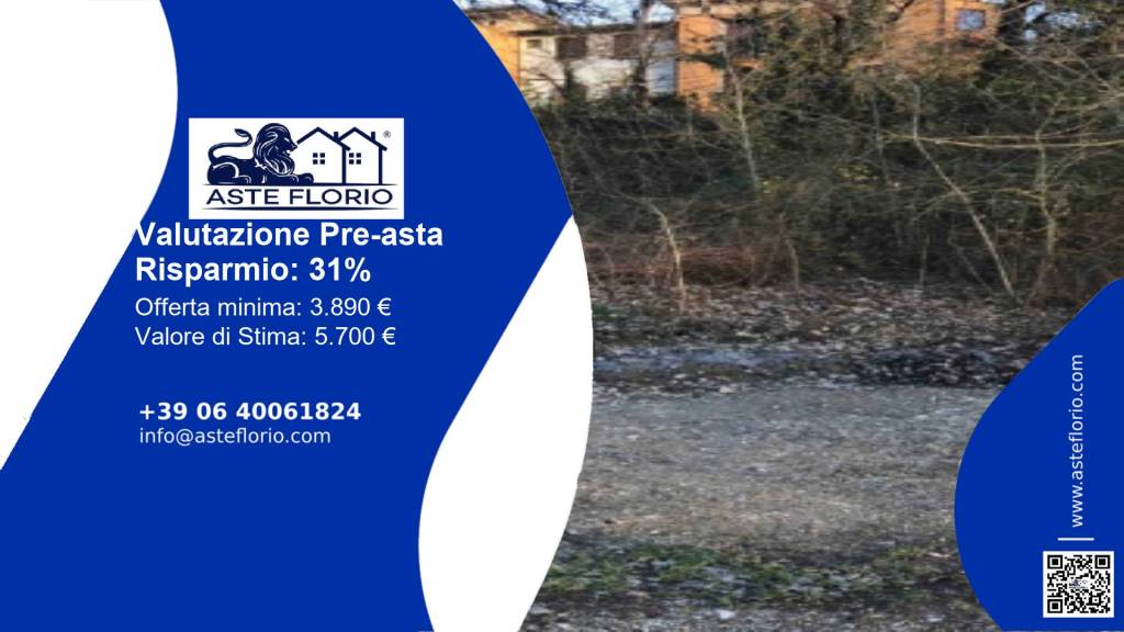 immagine annuncio 1 di 12