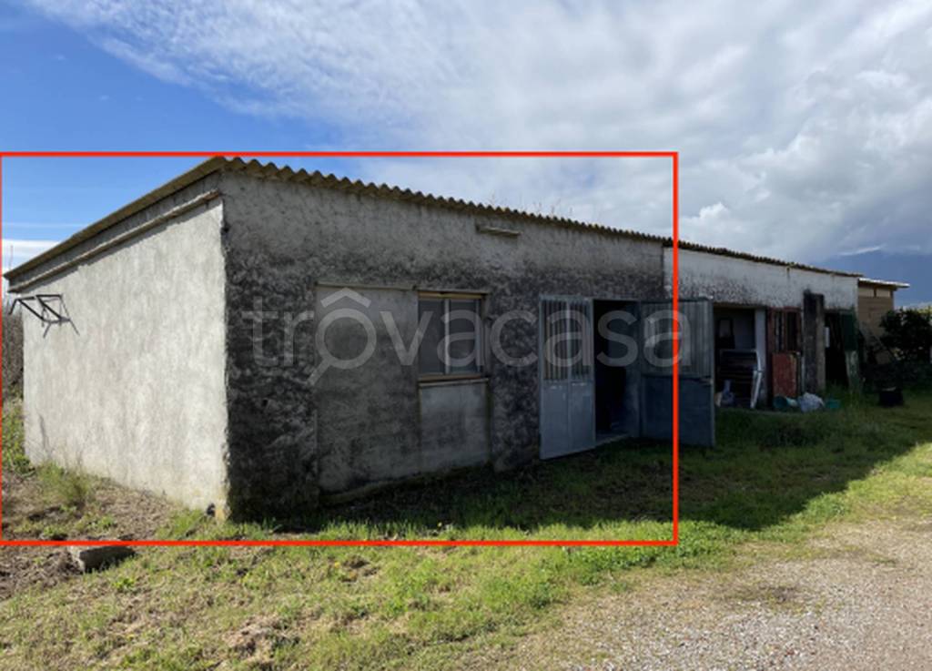 immagine annuncio 1 di 11