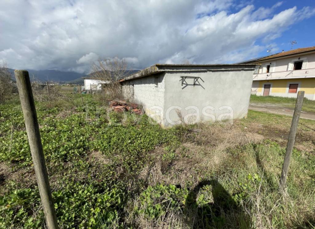 immagine annuncio 9 di 11