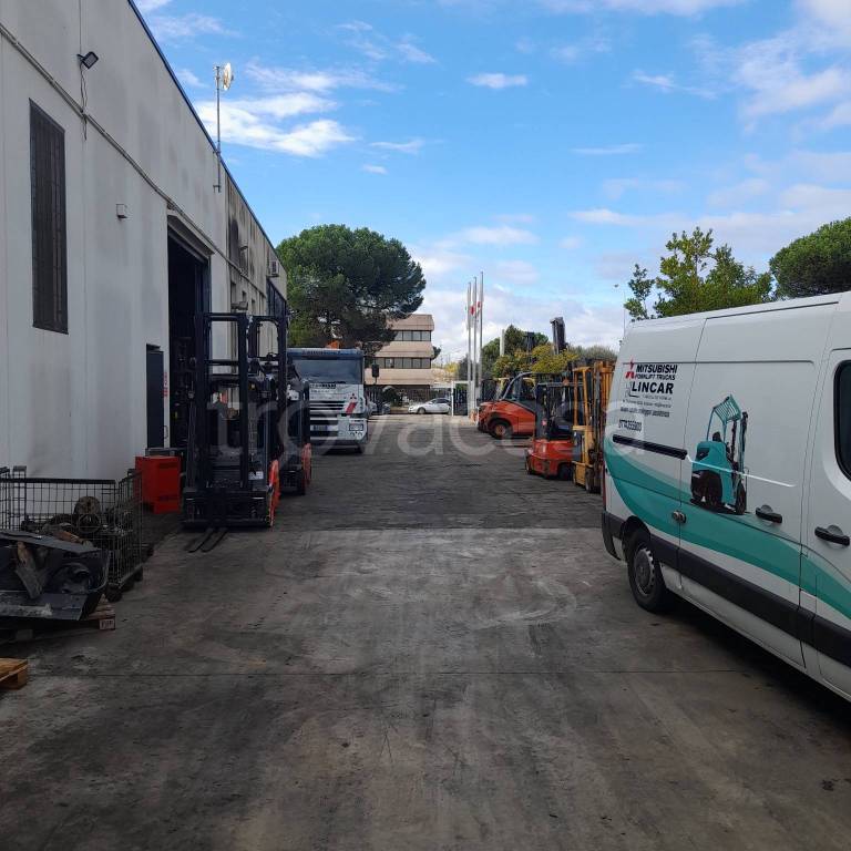 immagine annuncio 4 di 14