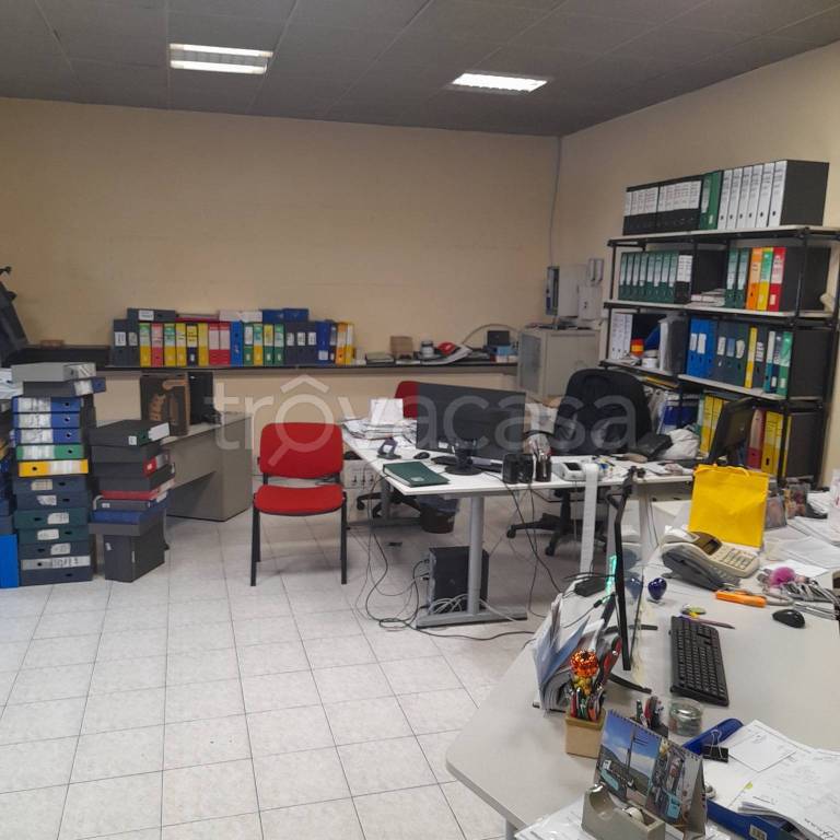 immagine annuncio 5 di 14