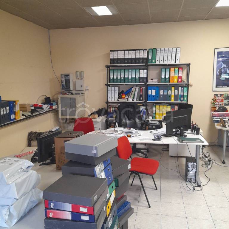 immagine annuncio 8 di 14