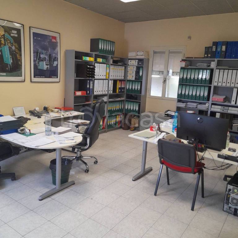 immagine annuncio 12 di 14