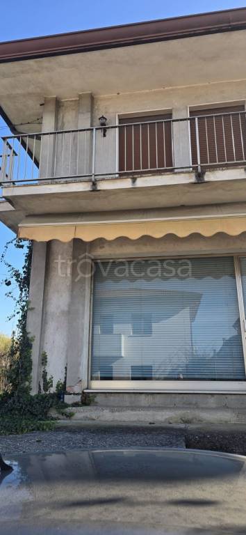 immagine annuncio 4 di 8