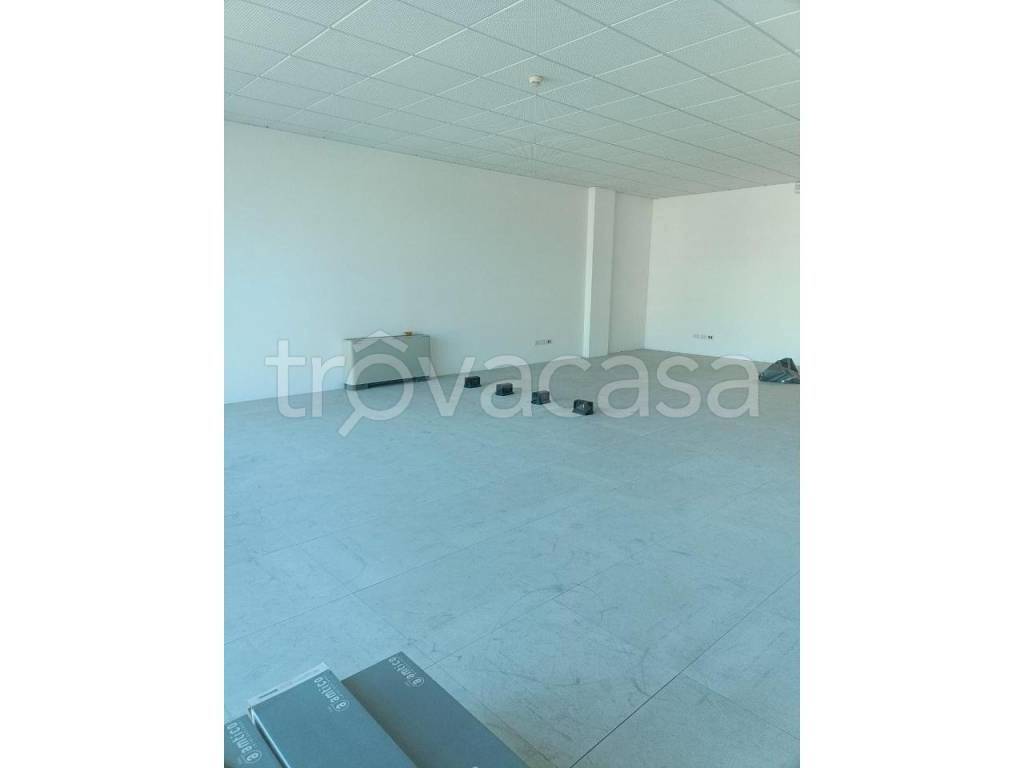 immagine annuncio 4 di 8