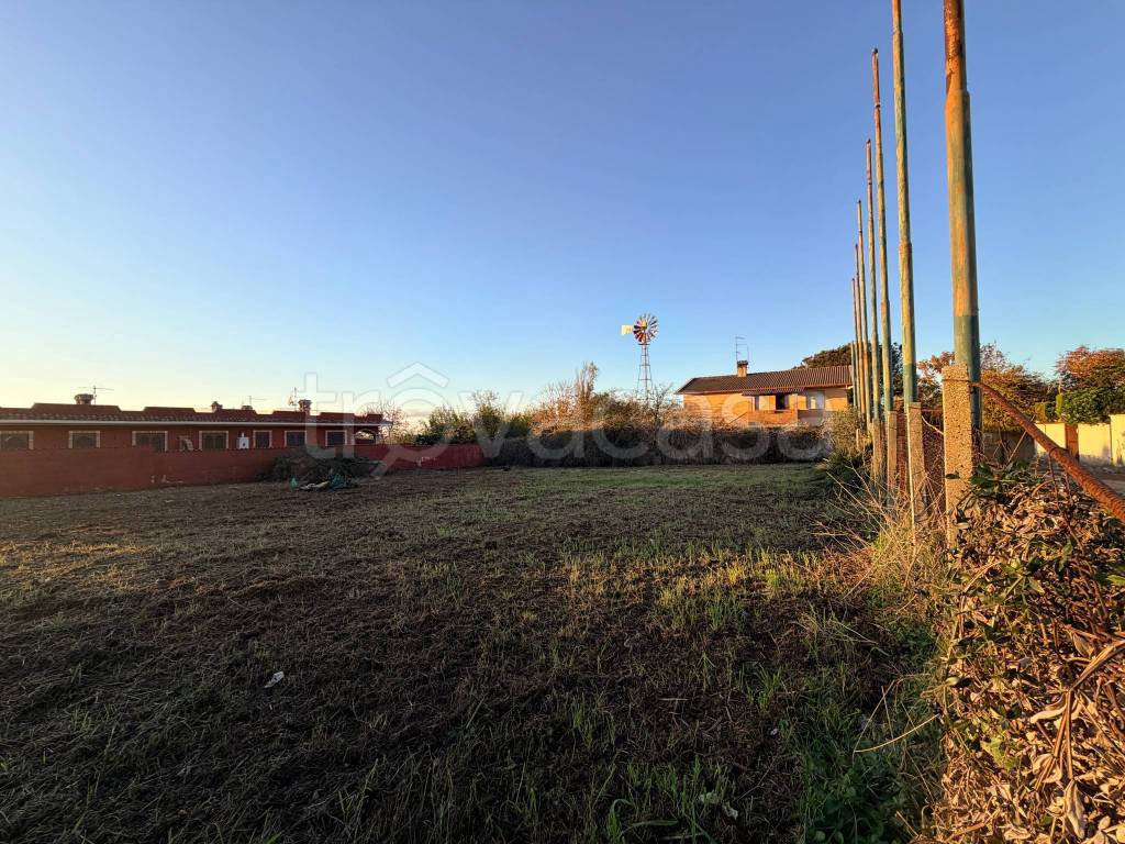 immagine annuncio 2 di 8