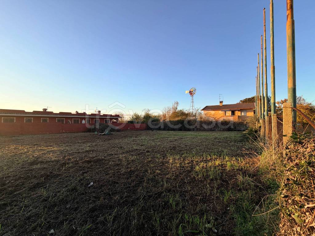 immagine annuncio 3 di 8