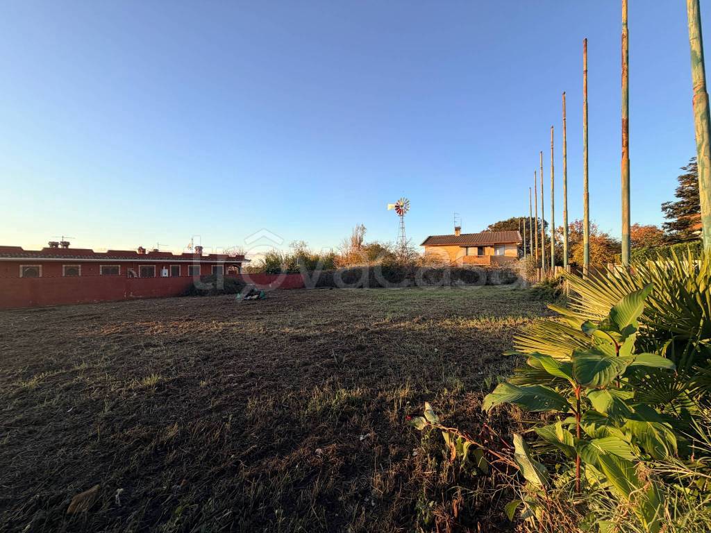 immagine annuncio 4 di 8