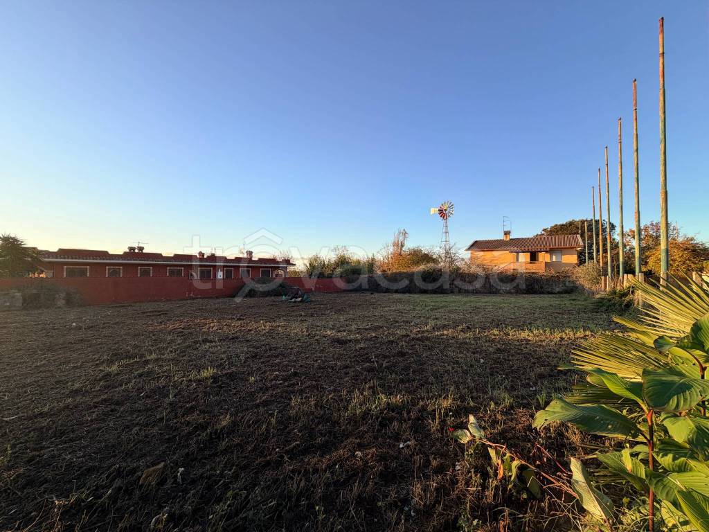 immagine annuncio 5 di 8