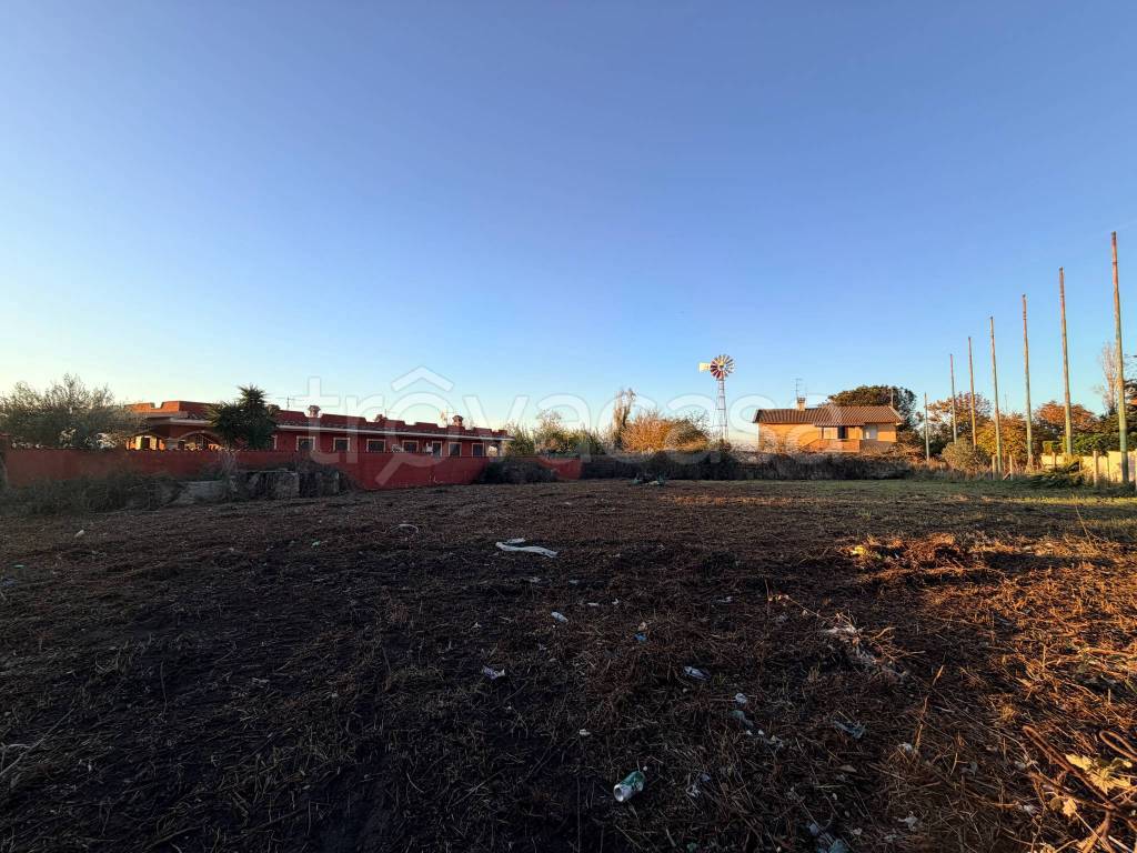 immagine annuncio 6 di 8