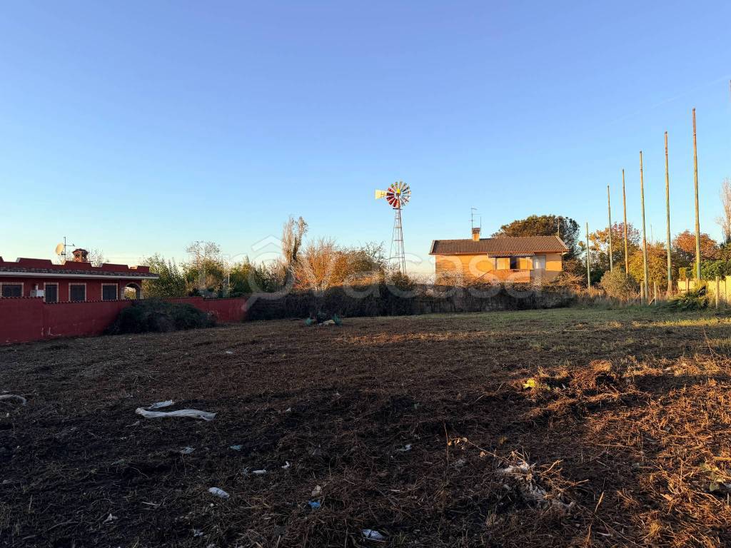 immagine annuncio 7 di 8